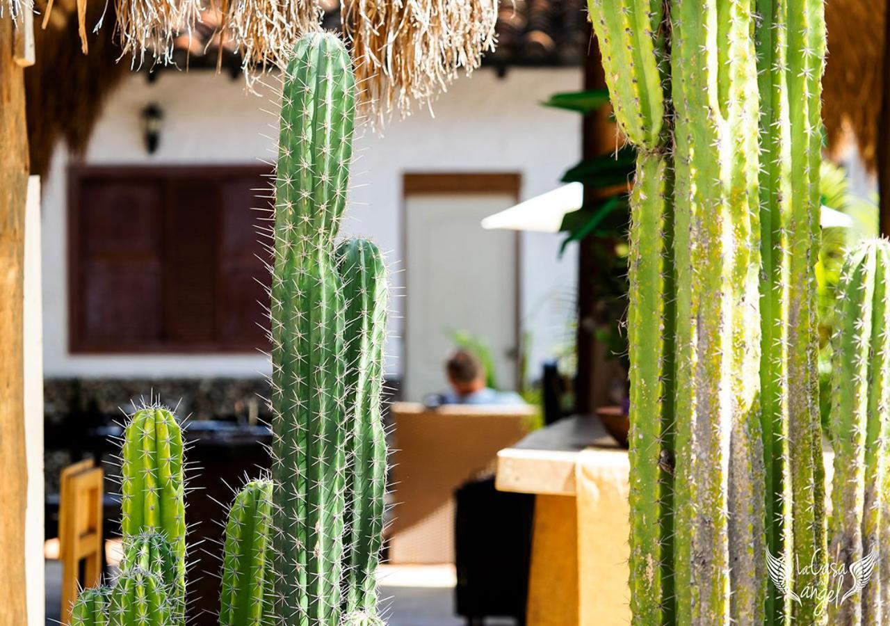 Hotel Infinito La Casona ビジャビエハ エクステリア 写真